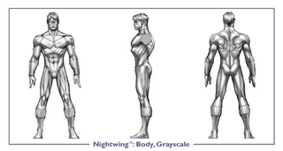 Illustration for article titled Nightwing Is Still Nightwing In DC Universe Online